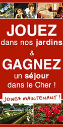 Puce Jaune