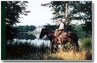 Cheval Chateau