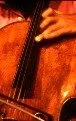 Violon
