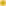 Puce Jaune